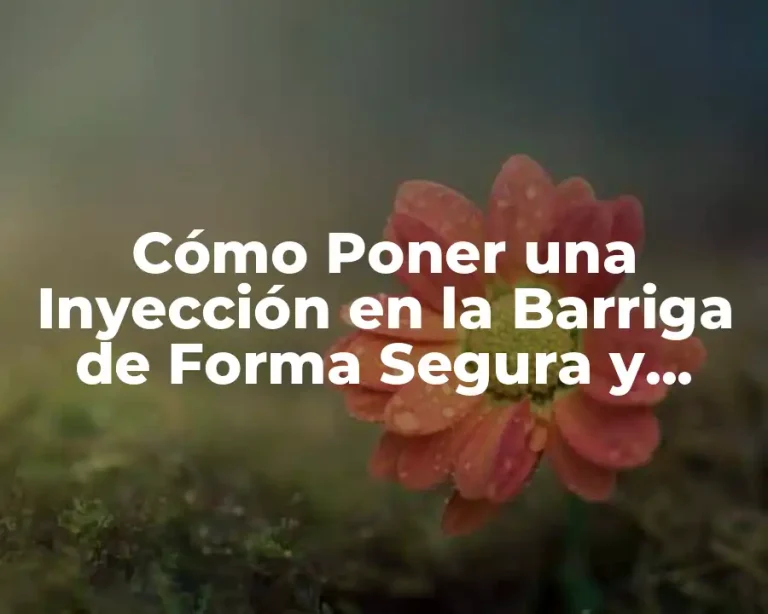 Cómo Poner una Inyección en la Barriga de Forma Segura y Efectiva