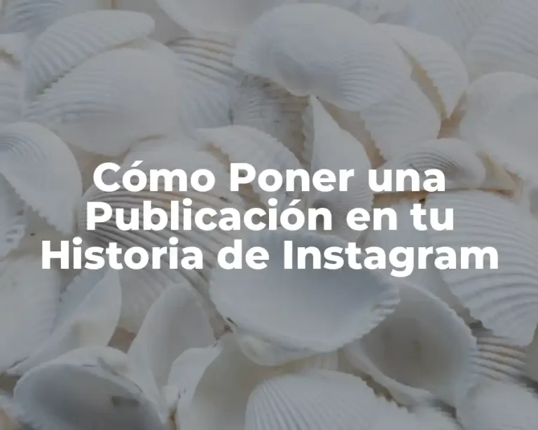 Cómo Poner una Publicación en tu Historia de Instagram