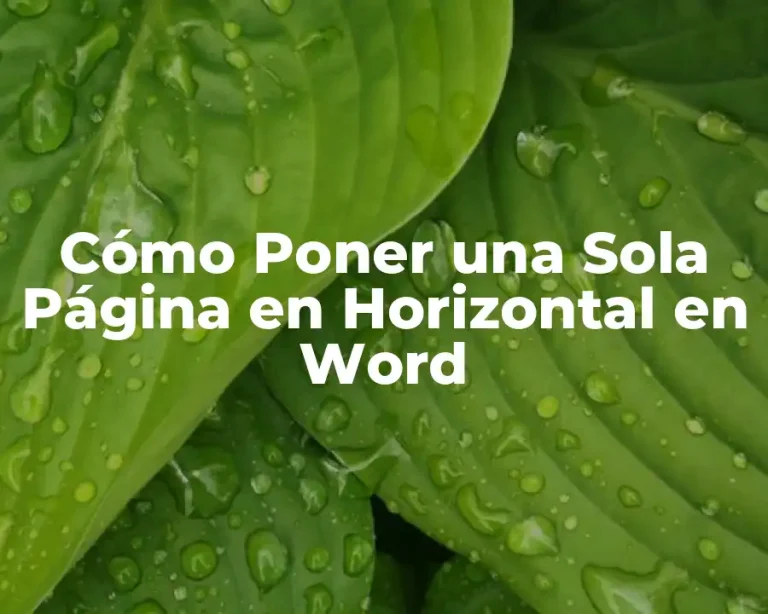 Cómo Poner una Sola Página en Horizontal en Word