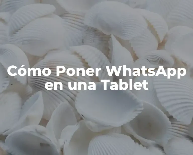 Cómo Poner WhatsApp en una Tablet