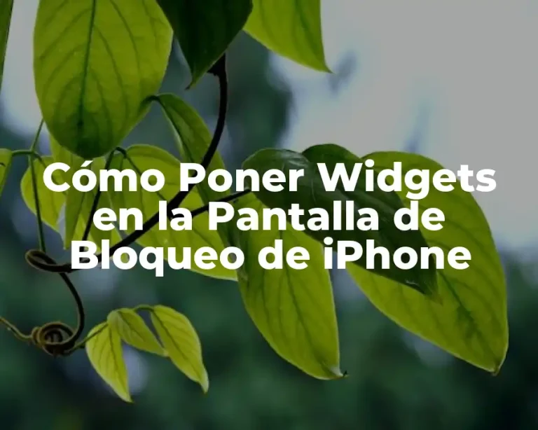 Cómo Poner Widgets en la Pantalla de Bloqueo de iPhone