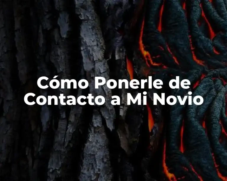Cómo Ponerle de Contacto a Mi Novio