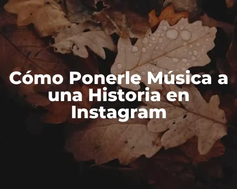 Cómo Ponerle Música a una Historia en Instagram
