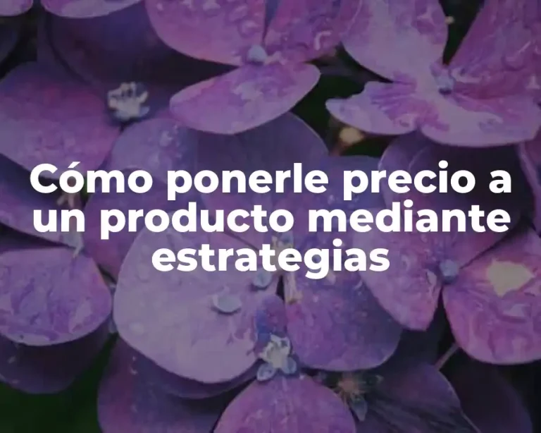Cómo ponerle precio a un producto mediante estrategias