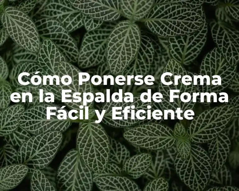 Cómo Ponerse Crema en la Espalda de Forma Fácil y Eficiente