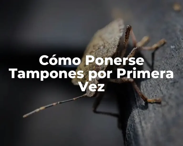 Cómo Ponerse Tampones por Primera Vez