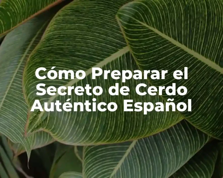 Cómo Preparar el Secreto de Cerdo Auténtico Español