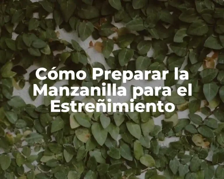 Cómo Preparar la Manzanilla para el Estreñimiento