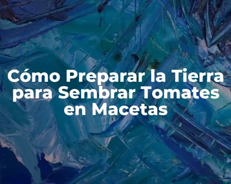 Cómo Preparar la Tierra para Sembrar Tomates en Macetas