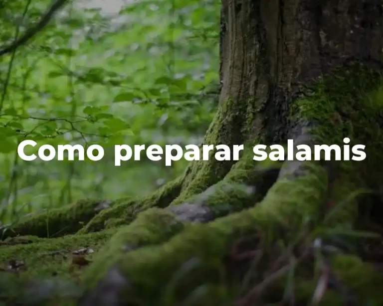 Como preparar salamis