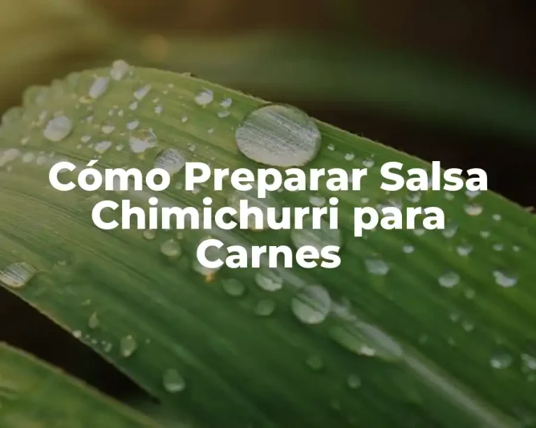 Cómo Preparar Salsa Chimichurri para Carnes