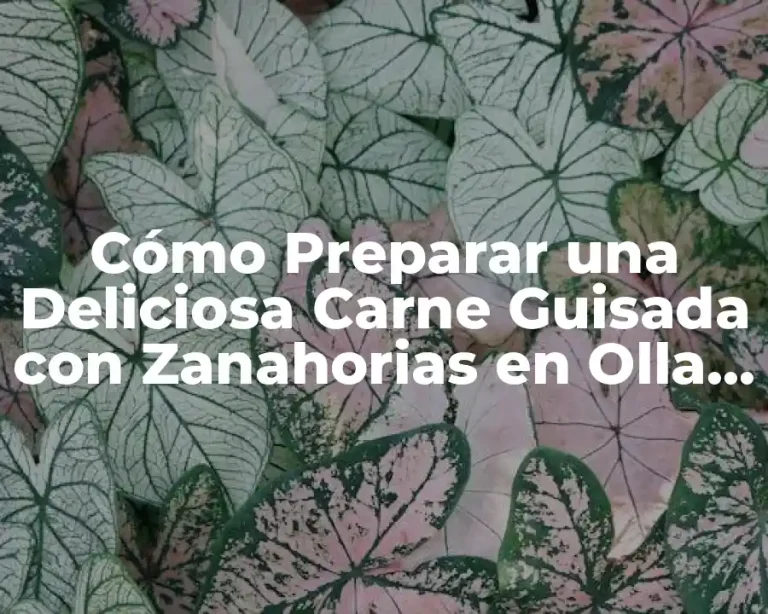 Cómo Preparar una Deliciosa Carne Guisada con Zanahorias en Olla Express