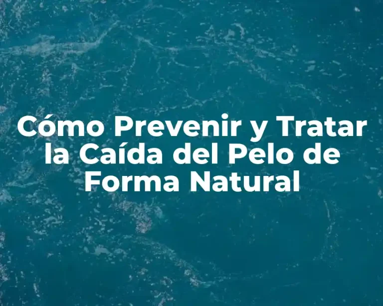 Cómo Prevenir y Tratar la Caída del Pelo de Forma Natural