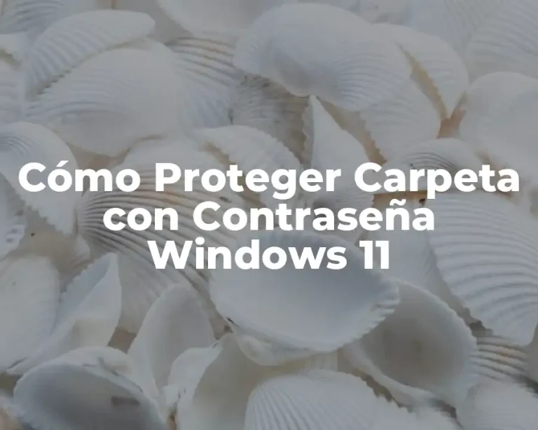 Cómo Proteger Carpeta con Contraseña Windows 11