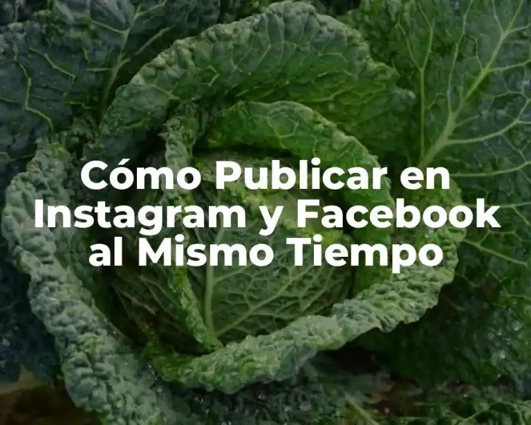 Cómo Publicar en Instagram y Facebook al Mismo Tiempo