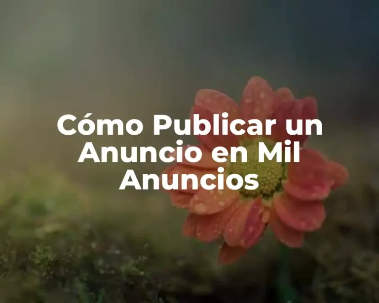 Cómo Publicar un Anuncio en Mil Anuncios