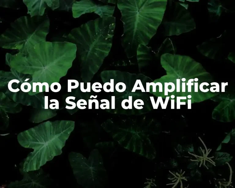 Cómo Puedo Amplificar la Señal de WiFi