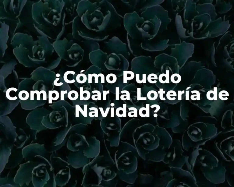 ¿Cómo Puedo Comprobar la Lotería de Navidad?