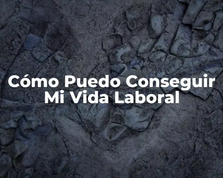 Cómo Puedo Conseguir Mi Vida Laboral
