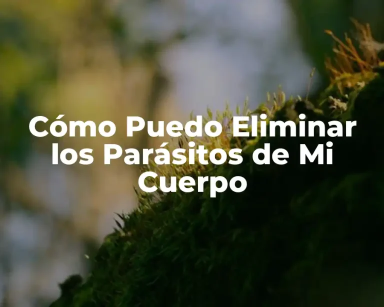 Cómo Puedo Eliminar los Parásitos de Mi Cuerpo