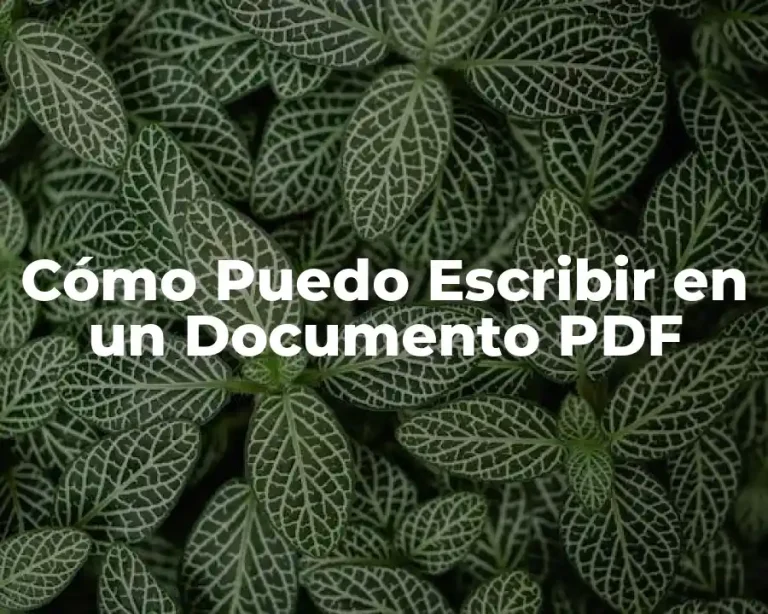 Cómo Puedo Escribir en un Documento PDF