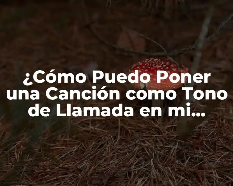 ¿Cómo Puedo Poner una Canción como Tono de Llamada en mi Teléfono Móvil?