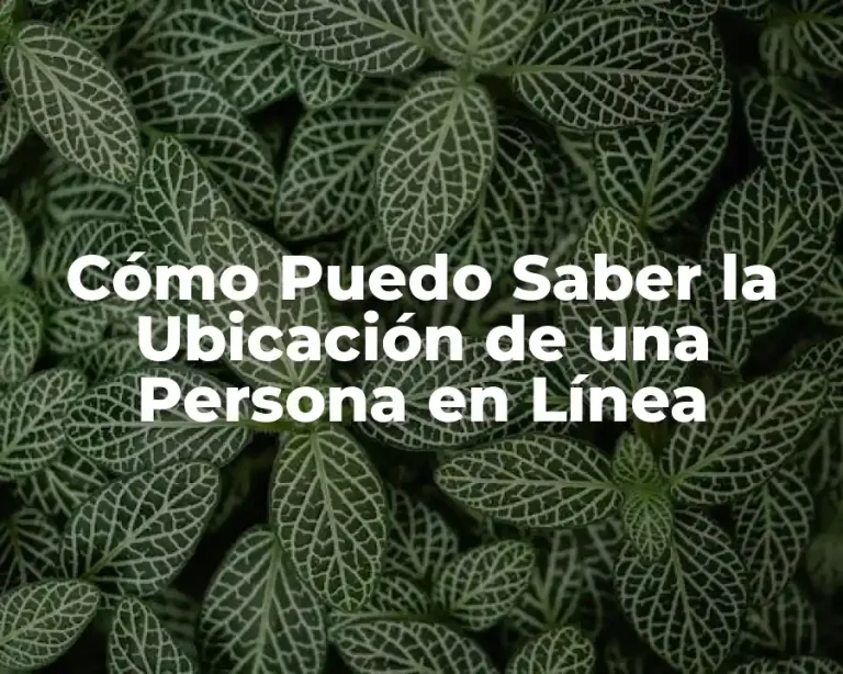 Cómo Puedo Saber la Ubicación de una Persona en Línea