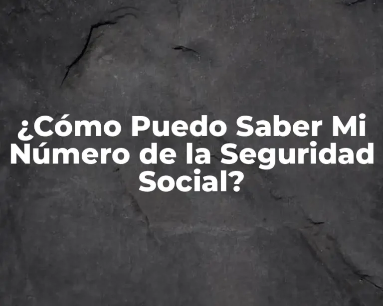 ¿Cómo Puedo Saber Mi Número de la Seguridad Social?