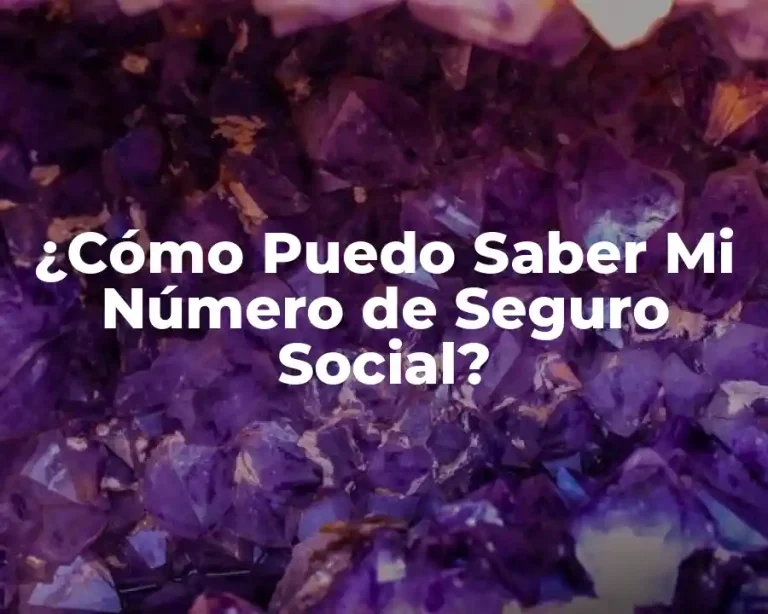 ¿Cómo Puedo Saber Mi Número de Seguro Social?