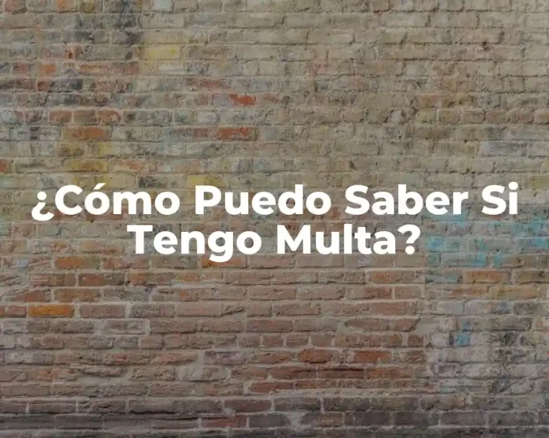 ¿Cómo Puedo Saber Si Tengo Multa?