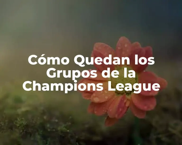 Cómo Quedan los Grupos de la Champions League