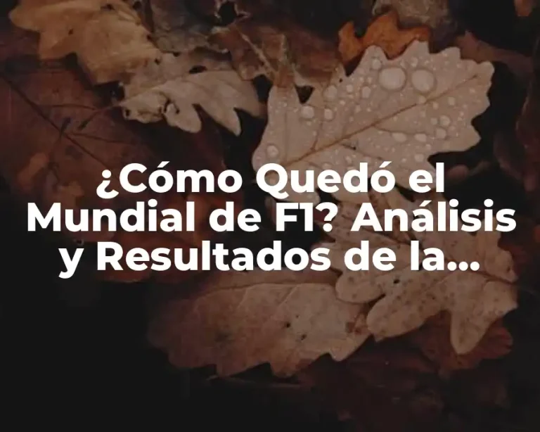 ¿Cómo Quedó el Mundial de F1? Análisis y Resultados de la Temporada
