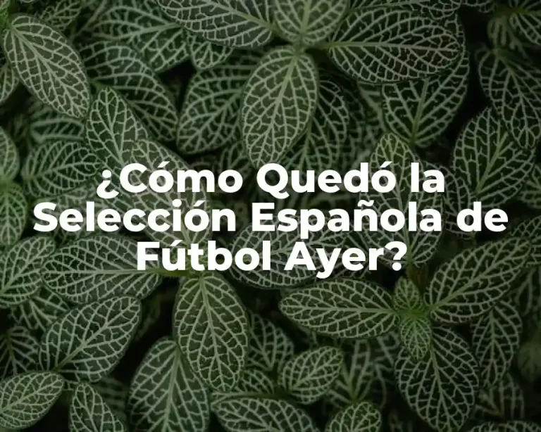¿Cómo Quedó la Selección Española de Fútbol Ayer?