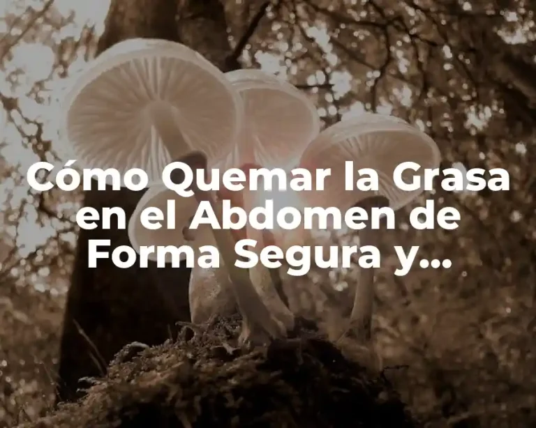 Cómo Quemar la Grasa en el Abdomen de Forma Segura y Efectiva