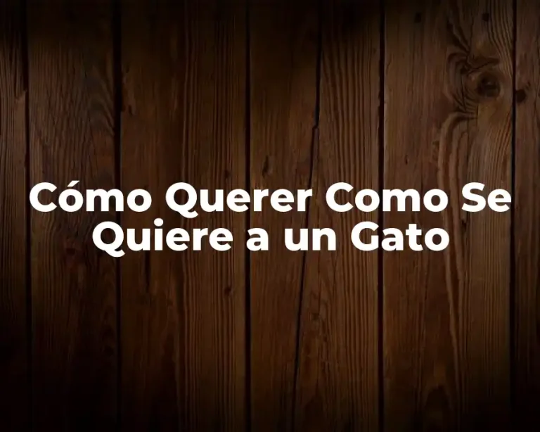 Cómo Querer Como Se Quiere a un Gato