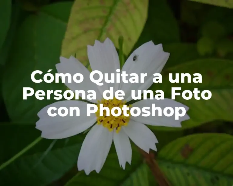 Cómo Quitar a una Persona de una Foto con Photoshop