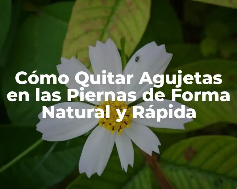 Cómo Quitar Agujetas en las Piernas de Forma Natural y Rápida
