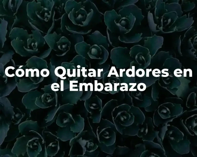 Cómo Quitar Ardores en el Embarazo