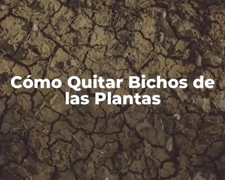 Cómo Quitar Bichos de las Plantas