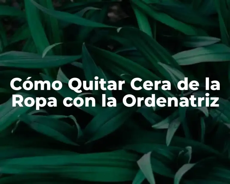 Cómo Quitar Cera de la Ropa con la Ordenatriz