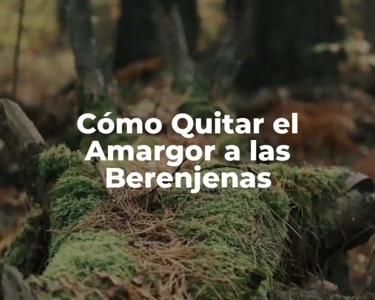 Cómo Quitar el Amargor a las Berenjenas