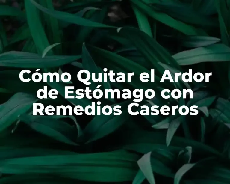 Cómo Quitar el Ardor de Estómago con Remedios Caseros