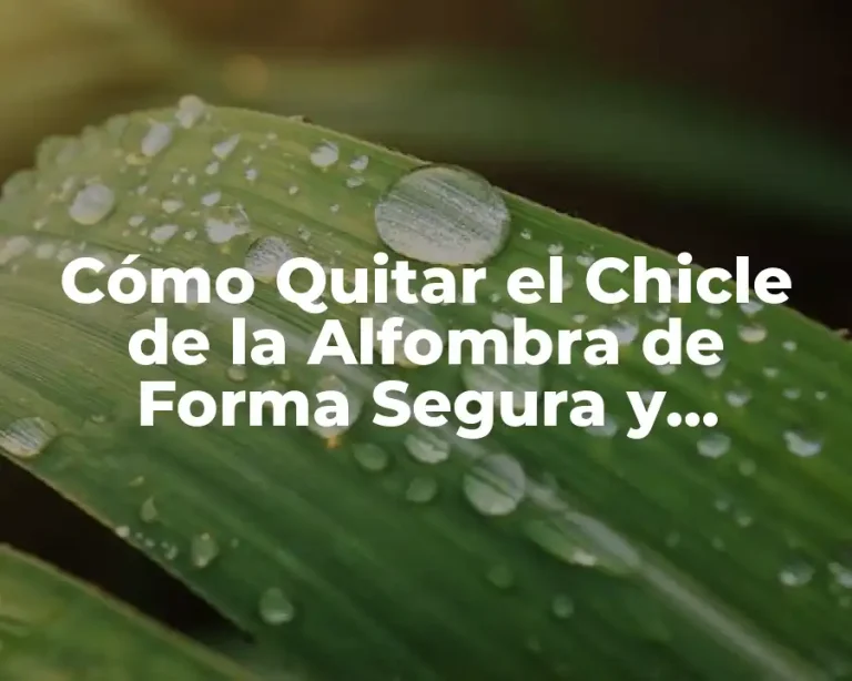 Cómo Quitar el Chicle de la Alfombra de Forma Segura y Efectiva