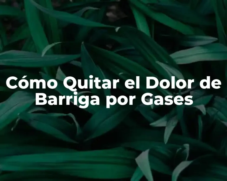 Cómo Quitar el Dolor de Barriga por Gases
