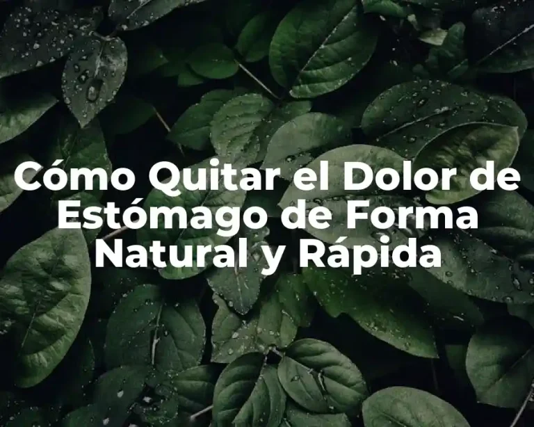 Cómo Quitar el Dolor de Estómago de Forma Natural y Rápida