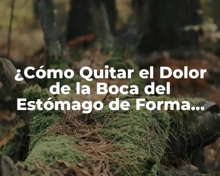 ¿Cómo Quitar el Dolor de la Boca del Estómago de Forma Natural y Efectiva?
