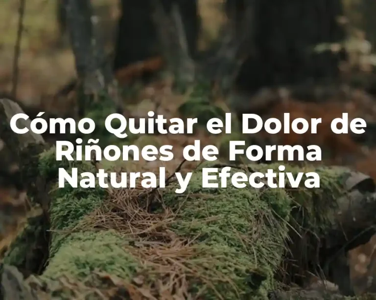 Cómo Quitar el Dolor de Riñones de Forma Natural y Efectiva