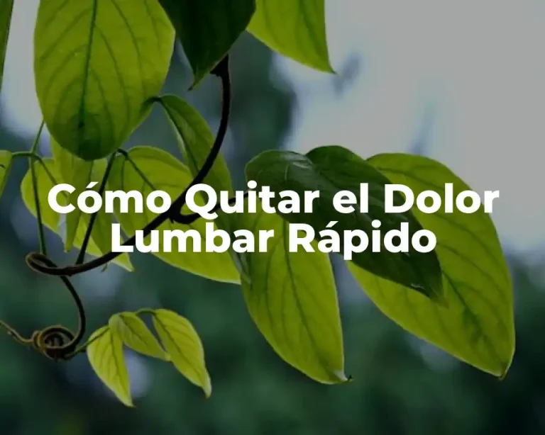 Cómo Quitar el Dolor Lumbar Rápido