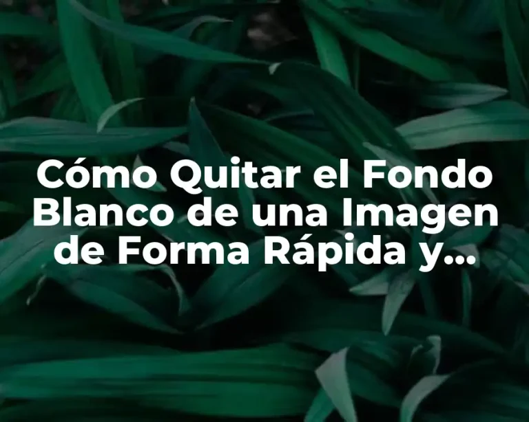 Cómo Quitar el Fondo Blanco de una Imagen de Forma Rápida y Sencilla
