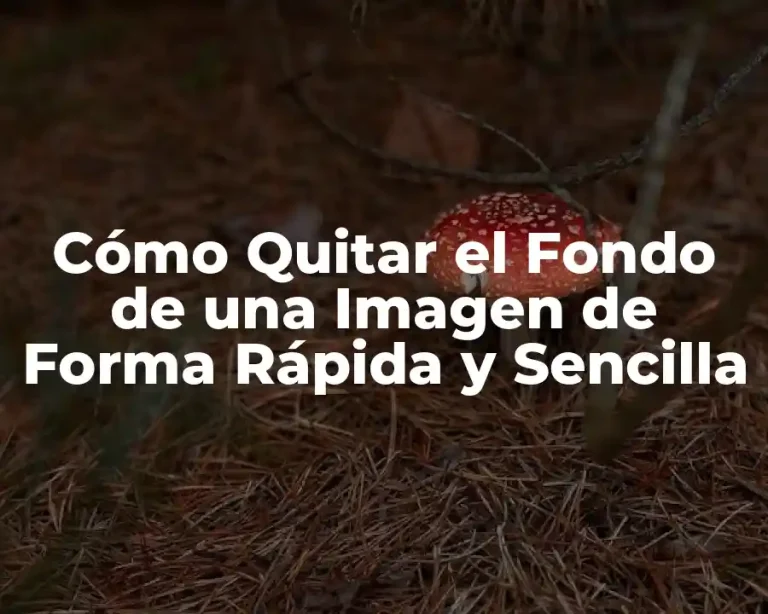 Cómo Quitar el Fondo de una Imagen de Forma Rápida y Sencilla